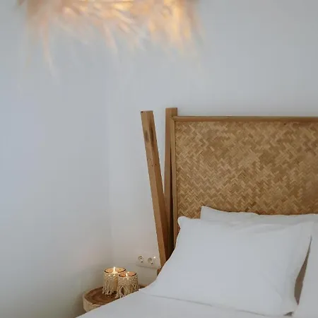 Ardilia Cosy